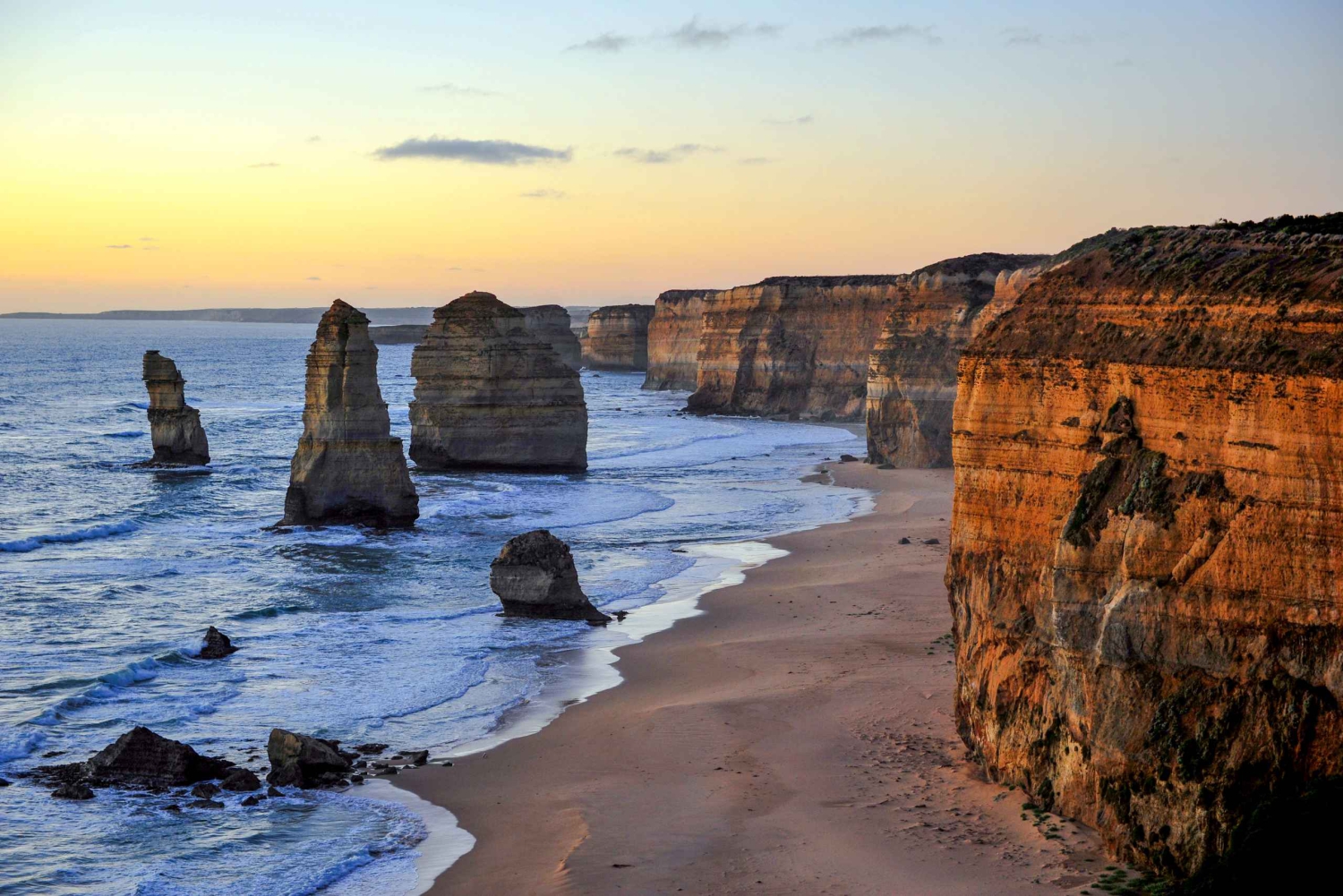 Fra Melbourne: Great Ocean Road, de 12 apostle, dyrelivstur