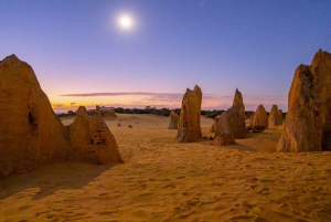 Vanuit Perth: Pinnacles zonsondergang en sterrenkijktour met diner