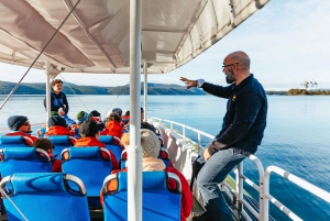 Vanuit Port Arthur: Tasman Eiland Wildernis Cruise