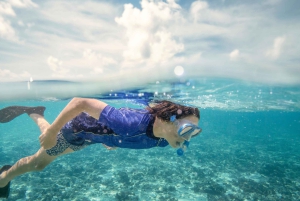 From Port Douglas: Outer Reef Cruise by Luxury Catamaran