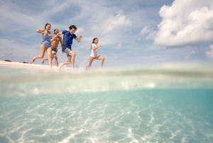 From Port Douglas: Outer Reef Cruise by Luxury Catamaran