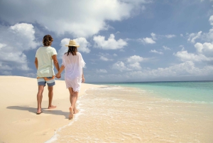 From Port Douglas: Outer Reef Cruise by Luxury Catamaran