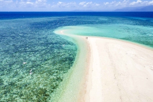 From Port Douglas: Outer Reef Cruise by Luxury Catamaran
