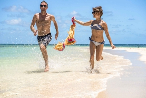 From Port Douglas: Outer Reef Cruise by Luxury Catamaran