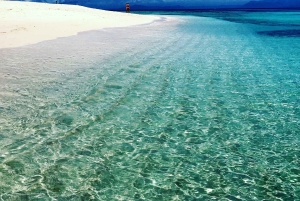 From Port Douglas: Outer Reef Cruise by Luxury Catamaran