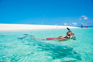 From Port Douglas: Outer Reef Cruise by Luxury Catamaran