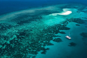 From Port Douglas: Outer Reef Cruise by Luxury Catamaran