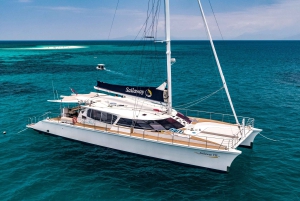 From Port Douglas: Outer Reef Cruise by Luxury Catamaran