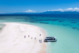 From Port Douglas: Outer Reef Cruise by Luxury Catamaran