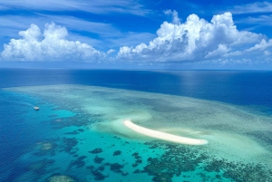 From Port Douglas: Outer Reef Cruise by Luxury Catamaran