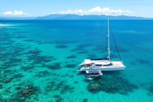 From Port Douglas: Outer Reef Cruise by Luxury Catamaran