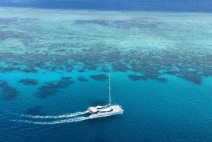From Port Douglas: Outer Reef Cruise by Luxury Catamaran