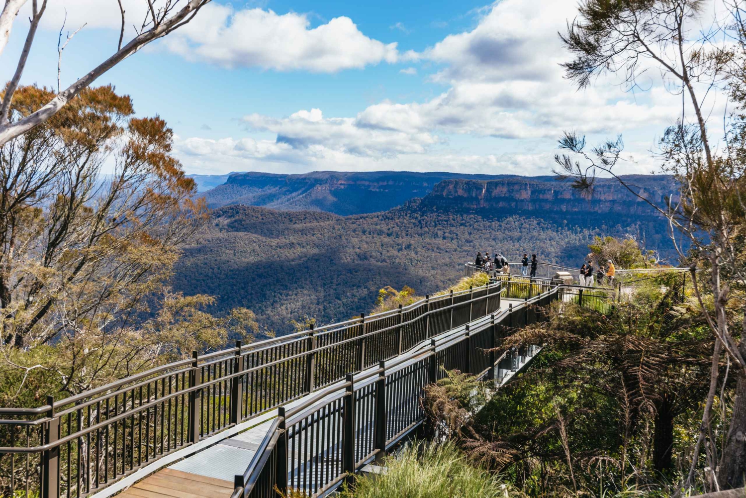 Au départ de Sydney : Excursion d'une journée dans les Montagnes Bleues