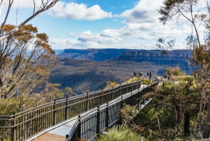 Från Sydney: Blue Mountains heldagsutflykt