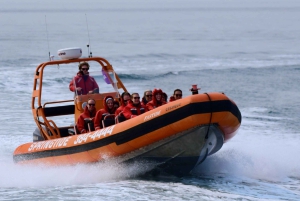 Desde Victoria: tour de avistamiento de ballenas en zódiac