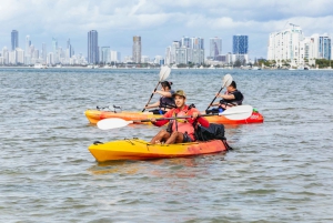 Gold Coast: Tour in kayak e snorkeling dell'isola di Wave Break