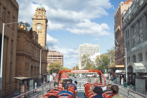 Hobart: 24-Hour Hop-on Hop-off Sightseeing Bus Ticket