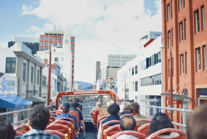 Hobart: 24-Hour Hop-on Hop-off Sightseeing Bus Ticket