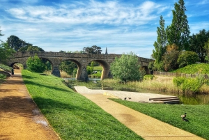 Hobart : Hobart, Richmond et le sanctuaire de la faune de Bonorong