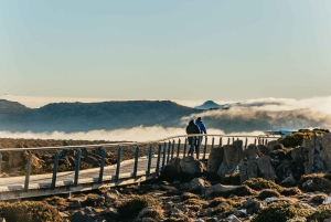 Hobart: Mt Wellington, Mt Field, Bonorong und Richmond Trip