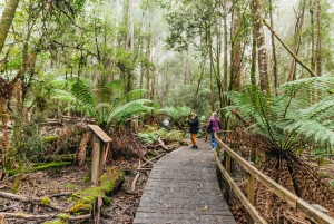 Hobart: Mt Wellington, Mt Field, Bonorong und Richmond Trip