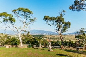 Hobart: Mt Wellington, Mt Field, Bonorong und Richmond Trip