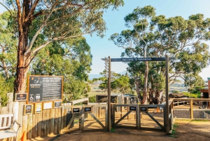 Hobart: Mt Wellington, Mt Field, Bonorong und Richmond Trip