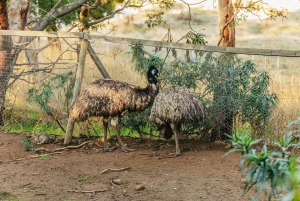 Hobart: Mt Wellington, Mt Field, Bonorong und Richmond Trip