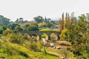 Hobart: Mt Wellington, Mt Field, Bonorong und Richmond Trip