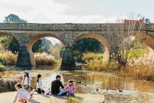 Hobart: Mt Wellington, Mt Field, Bonorong und Richmond Trip