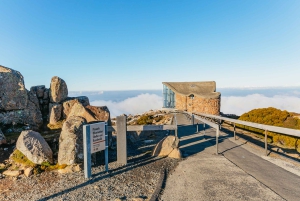 Hobart: Mt Wellington, Mt Field, Bonorong und Richmond Trip