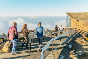 Hobart: Mt Wellington, Mt Field, Bonorong und Richmond Trip