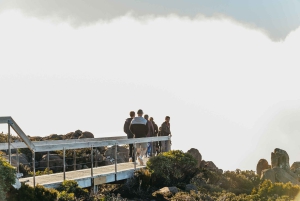 Hobart: Mt Wellington, Mt Field, Bonorong und Richmond Trip
