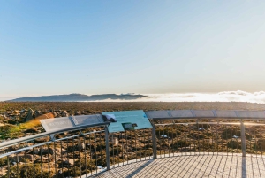 Hobart: Mt Wellington, Mt Field, Bonorong und Richmond Trip