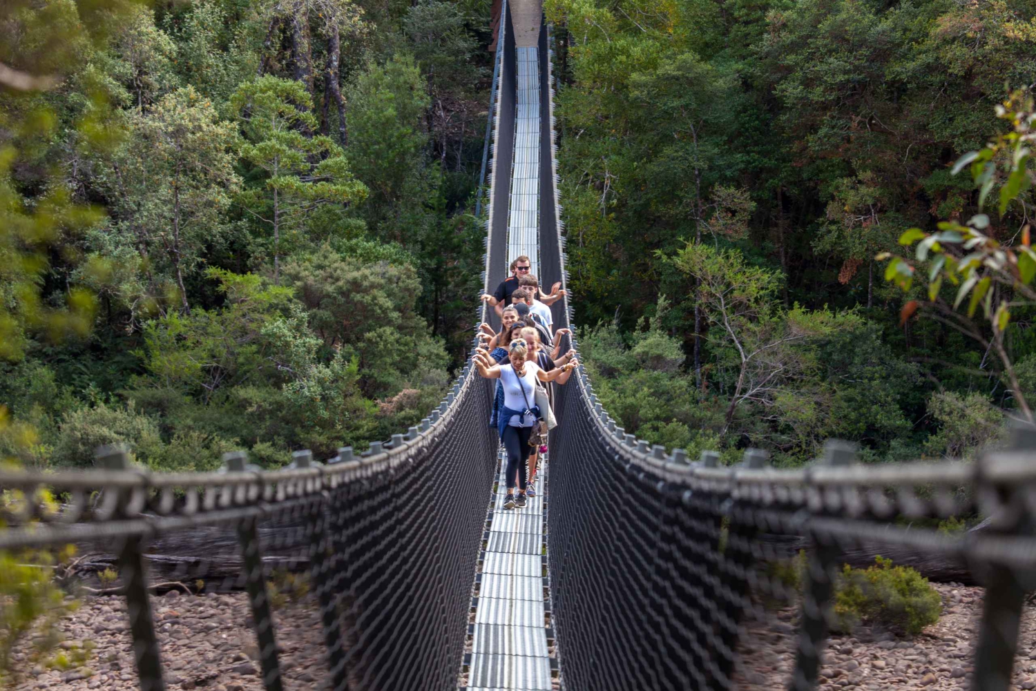 Hobart: Tahune Airwalk, Hastings-grotten, varme kilder