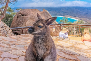 Hobart: Wineglass Bay, Freycinet Park e Richmond Tour