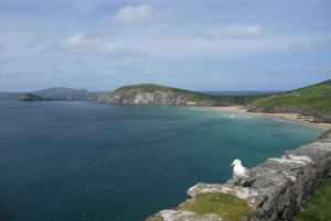 Irlannin Pohjois-Atlantin rannikko 5 päivän kiertomatka Dublinista käsin