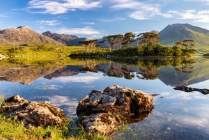 Irlannin Pohjois-Atlantin rannikko 5 päivän kiertomatka Dublinista käsin