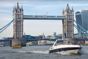 Londres : croisière privée de luxe de 2 heures sur la Tamise / location