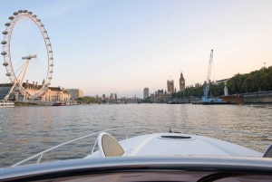 Londres : croisière privée de luxe de 2 heures sur la Tamise / location