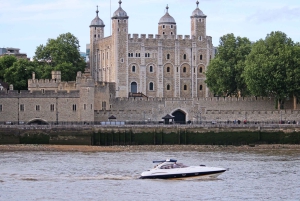Londres : croisière privée de luxe de 2 heures sur la Tamise / location