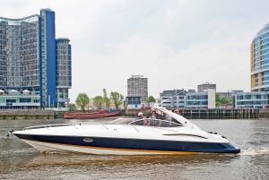 Londres : croisière privée de luxe de 2 heures sur la Tamise / location