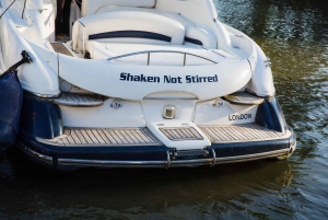 Londres : croisière privée de luxe de 2 heures sur la Tamise / location