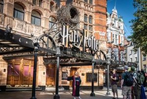 London: Geführte Themse-Kreuzfahrt und Harry Potter Walking Tour