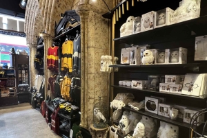 London: Geführte Themse-Kreuzfahrt und Harry Potter Walking Tour