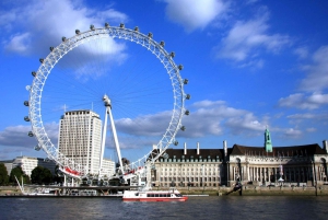Londra: tour panoramico privato di 2 ore con un esperto locale