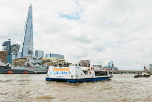 London: River Thames Hop-On Hop-Off Sightseeing Cruise