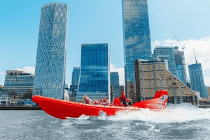 London: River Thames Speed Boat Tour