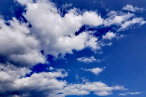 London: South Downs White Cliffs Day Trip with Train Tickets