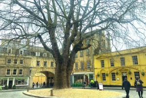 Londra: Stonehenge, Bath, Windsor e terme romane: tour di 1 giorno